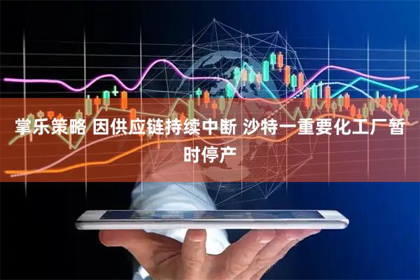 掌乐策略 因供应链持续中断 沙特一重要化工厂暂时停产