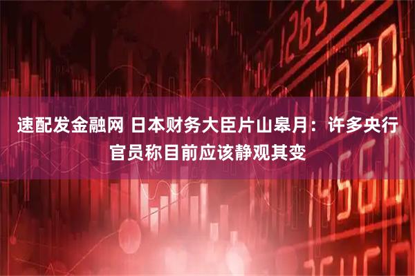 速配发金融网 日本财务大臣片山皋月：许多央行官员称目前应该静观其变